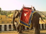 04_elephant_ride_approach.JPG