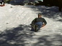 06_sudhir_on_sled.JPG