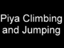 05_piya_climbing_and_jumping.JPG