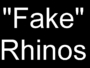 12_rhinoceros.JPG